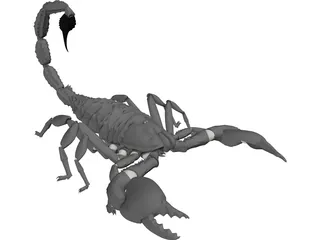 Scorpion (Arachnid Scorpionida) 3D Model preview