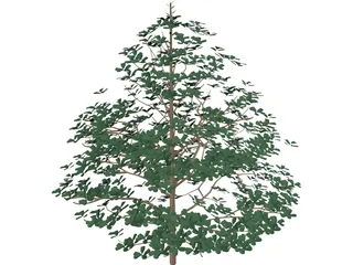 Styrax Officinalis 3D Model preview