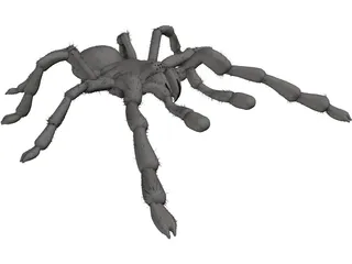 Tarantula 3D Model preview