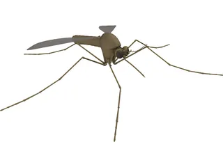 Mosquito 3D Model preview