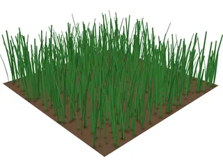 Grass 3D Model preview