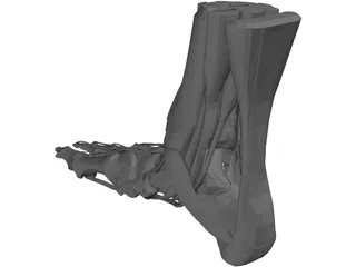 Human Leg 3D Model preview