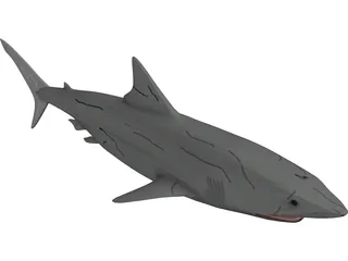 Great White Shark 3D Model preview