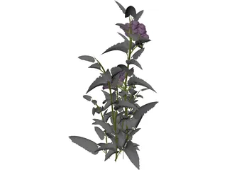 Plant 3D Model preview