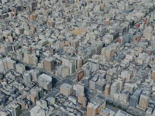 Kyoto City, Japan (2024) 3D Model preview