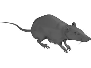Rat House 3D Model preview