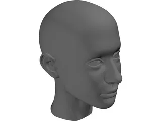 Head 3D Model preview