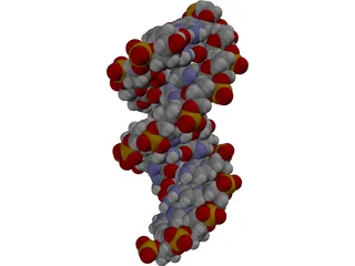 B-DNA 3D Model preview