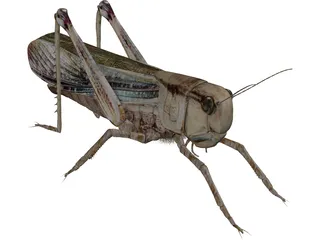 Grasshopper 3D Model preview