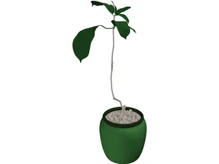 Plant 3D Model preview