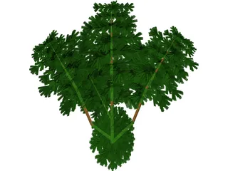Juniper Bush 3D Model preview