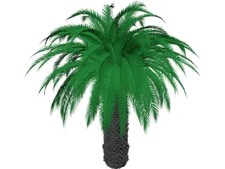Tree 3D Model preview