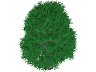 Tree 3D Model preview