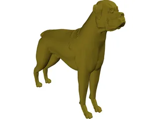 Dog Boxer 3D Model preview