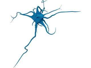Neuron 3D Model preview