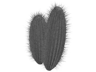 Cactus 3D Model preview