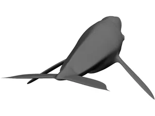 Whale 3D Model preview