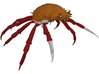 Crab (Maia Squinado) 3D Model preview