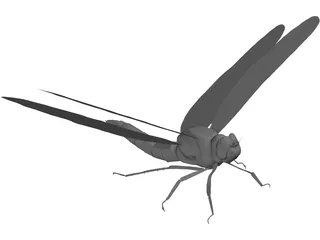 Dragon Fly 3D Model preview