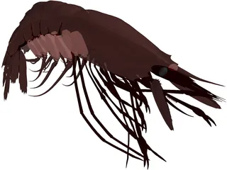 Large Red Prawn 3D Model preview
