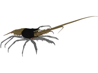 Lobster (Palinurus Elephas) 3D Model preview