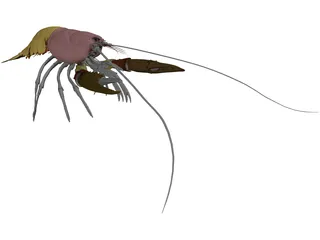 Lobster (Homarus Gammarus) 3D Model preview