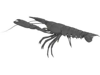 Lobster (Nephrops Norvegicus) 3D Model preview