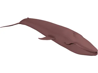 Whale Blue 3D Model preview