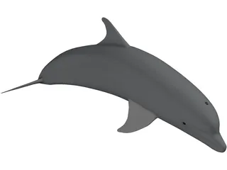 Dolphin Bottle-Nosed 3D Model preview