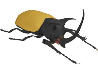 Eupatorus Gracilicornis 3D Model preview