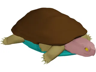 Turtle (Terrapene Ornata) 3D Model preview