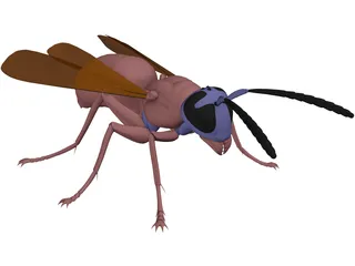 Wasp 3D Model preview