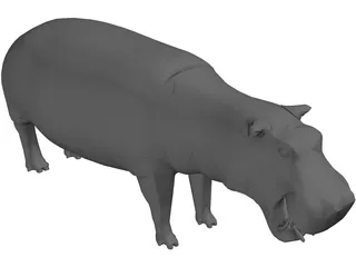 Hippopotamus 3D Model preview