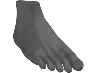 Foot 3D Model preview