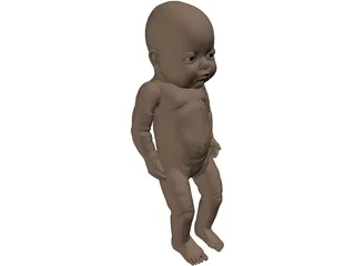 Newborn Baby 3D Model preview