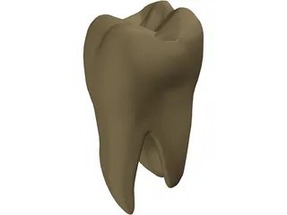 Molar 3D Model preview