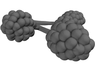 Alveoli 3D Model preview