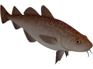 Pacific Cod 3D Model preview