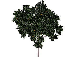 Zitronenbaum 3D Model preview