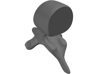 Spine 3D Model preview