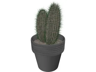 Cactus 3D Model preview