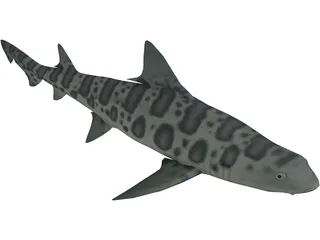 Leopard Shark 3D Model preview