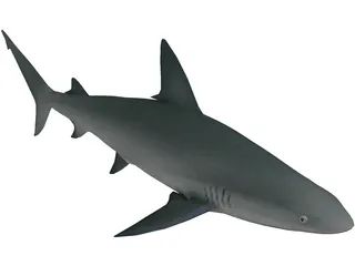 Sandbar Shark 3D Model preview