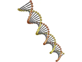 DNA Model 3D Model preview