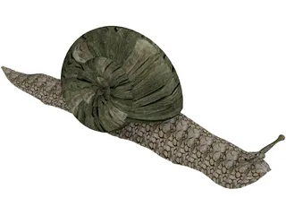 Snail 3D Model preview