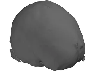 Brain 3D Model preview