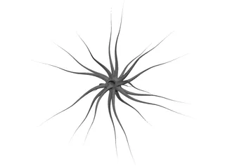 Neuron 3D Model preview
