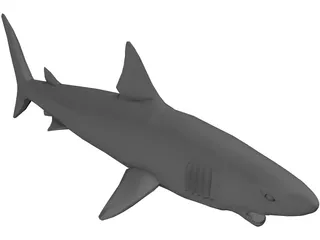 Shark Great White 3D Model preview