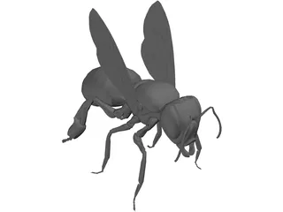 Bee 3D Model preview
