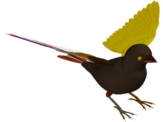 Sparrow 3D Model preview